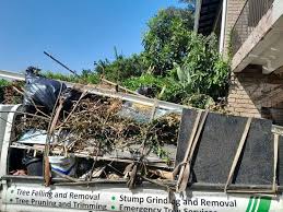 Best Moving and Downsizing Cleanouts  in Elsmere, DE